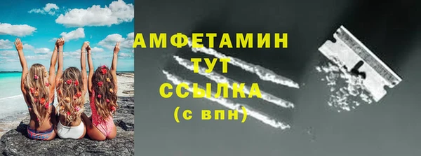 шишки Горняк
