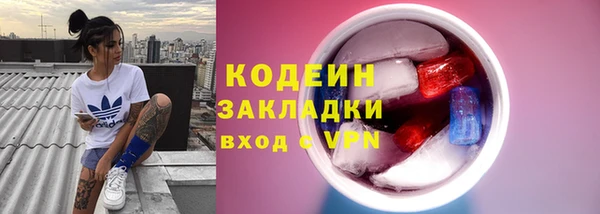 шишки Горняк