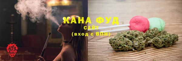 шишки Горняк