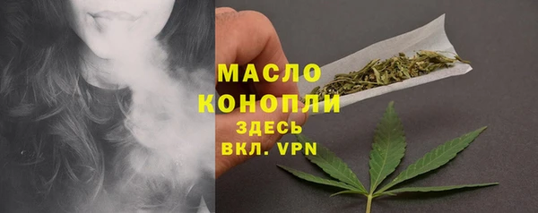 шишки Горняк
