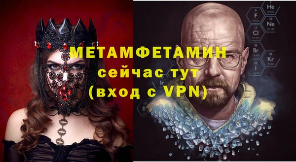 шишки Горняк