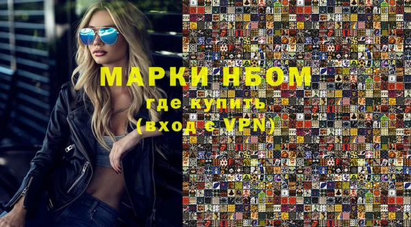шишки Горняк