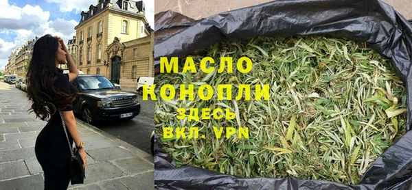 шишки Горняк