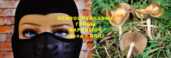 меф Горно-Алтайск