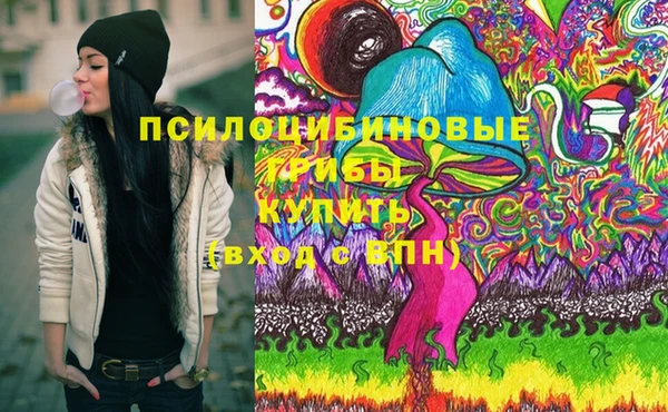 шишки Горняк