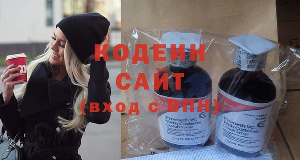 шишки Горняк