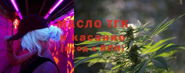 шишки Горняк