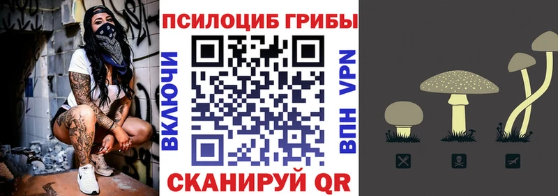 Псилоцибиновые грибы ЛСД  кракен как зайти  сайты даркнета как зайти  закладка  Магнитогорск 