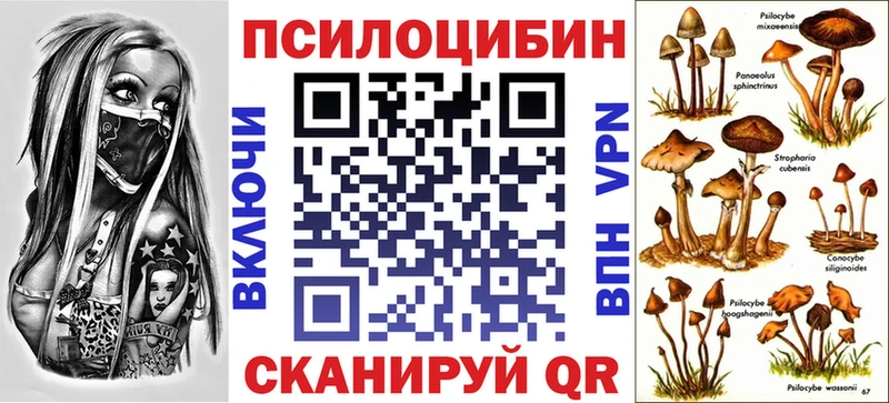 Галлюциногенные грибы Psilocybine cubensis Магнитогорск